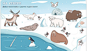 Animals