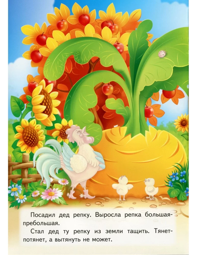 Rzepa