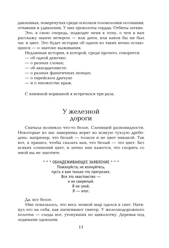 Knygų vagis