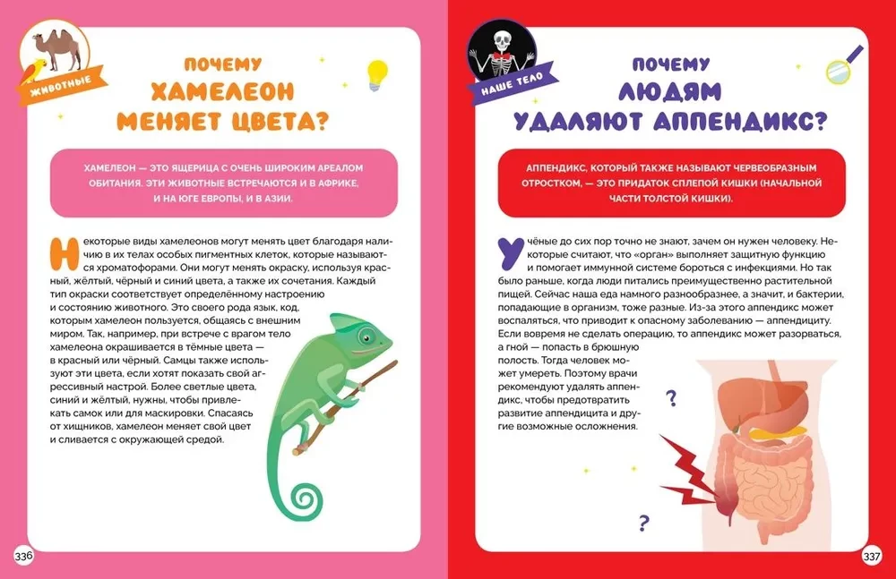 Didžioji kodų knyga. 365 klausimai ir atsakymai visiems metams