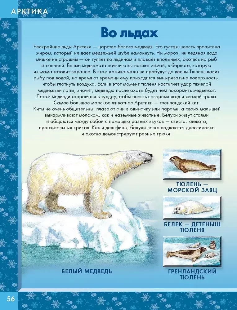 Gyvūnai pasaulyje. Kas gyvena mūsų planetoje