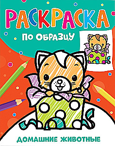 Spalvinimas pagal pavyzdį. Namų gyvūnai