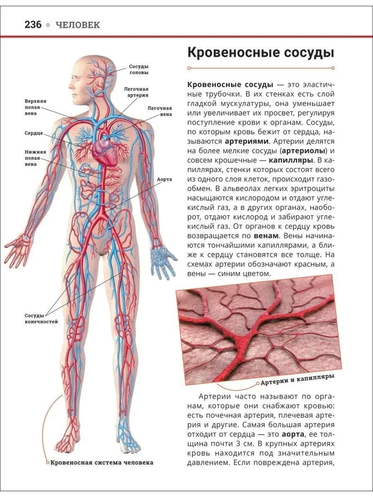 Wielka encyklopedia rosyjskiego ucznia