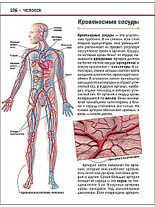 Wielka encyklopedia rosyjskiego ucznia