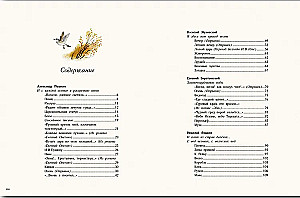 Akį kerintis. Rusų poetų eilėraščiai