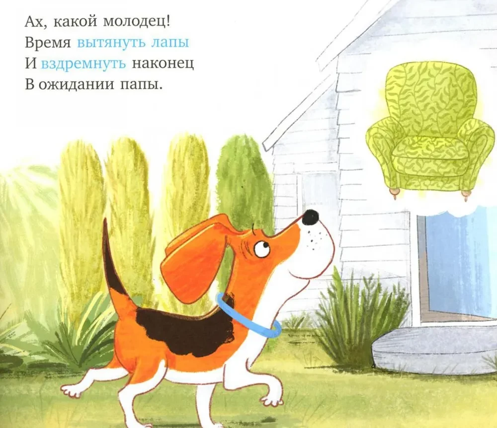 Zu viele Katzen