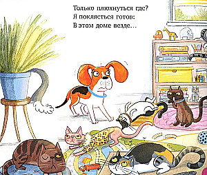 Zu viele Katzen