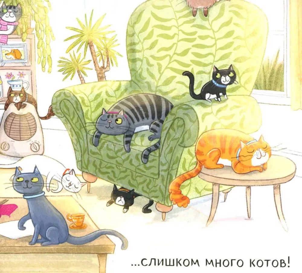 Zu viele Katzen