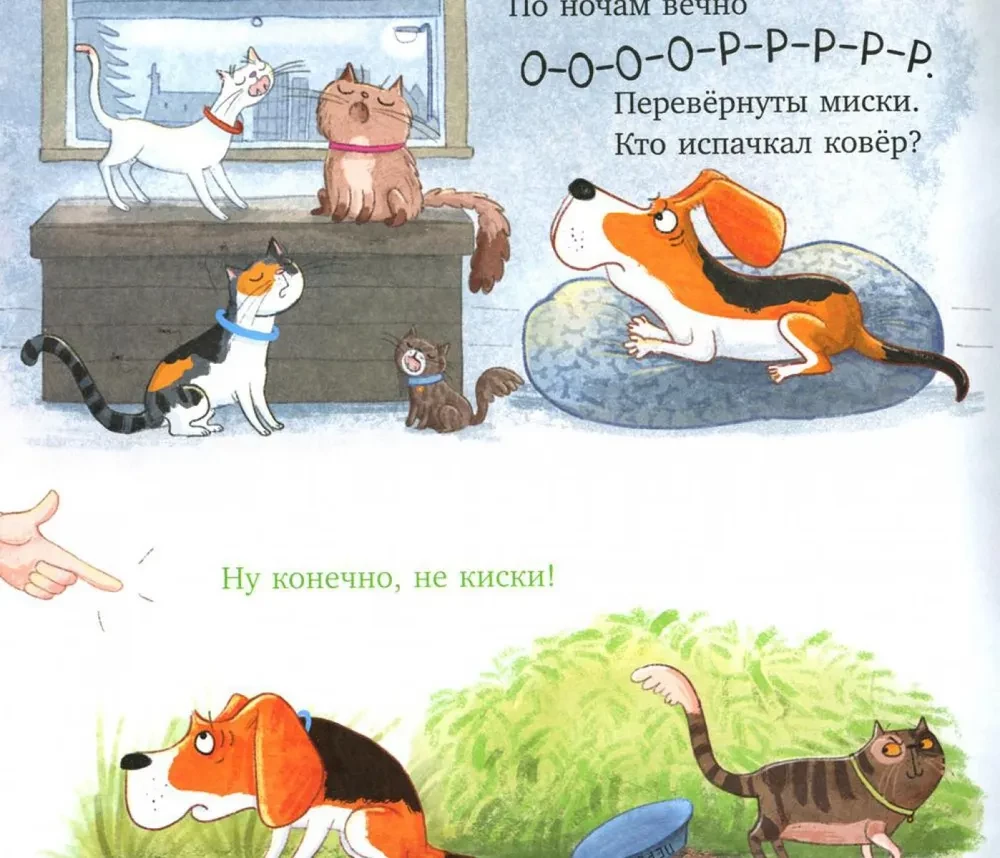 Zu viele Katzen