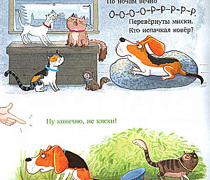 Zu viele Katzen