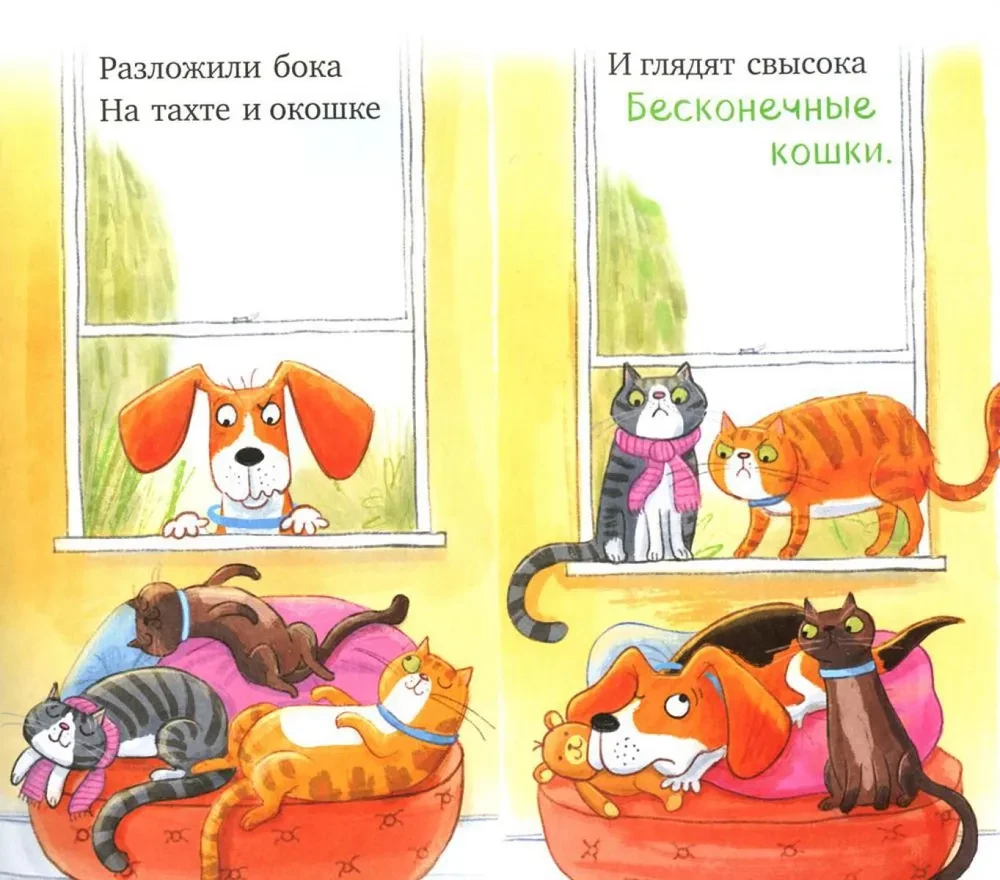 Zu viele Katzen