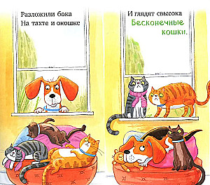 Zu viele Katzen