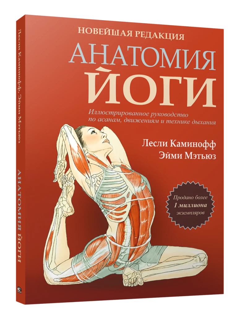 Anatomia jogi. Nowa edycja