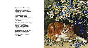 Apie katę