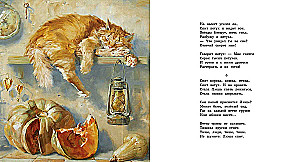 Apie katę