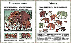 Izmirušo dzīvnieku atlants