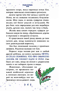 Magi Siao ir Aukščiausio šaltinio paieška