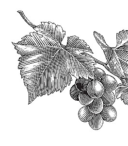Par dabu