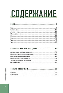 Prabangūs pušynai