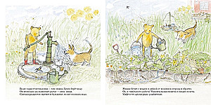 Der Sommer des Bären Bruno