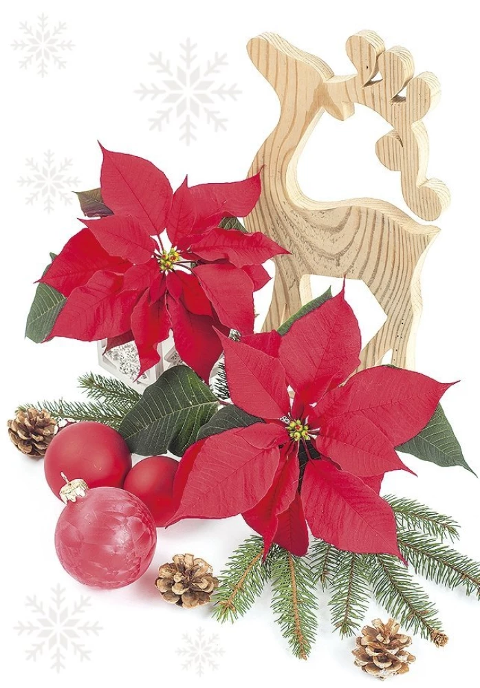 Weihnachtsgrußkarte (mini)