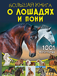 The Big Book of Horses and Ponies. 1001 Photographs