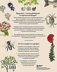 Beruf — Wissenschaftsillustrator. Leitfaden für Illustrationen in Biologie, Archäologie und Paläo-Kunst