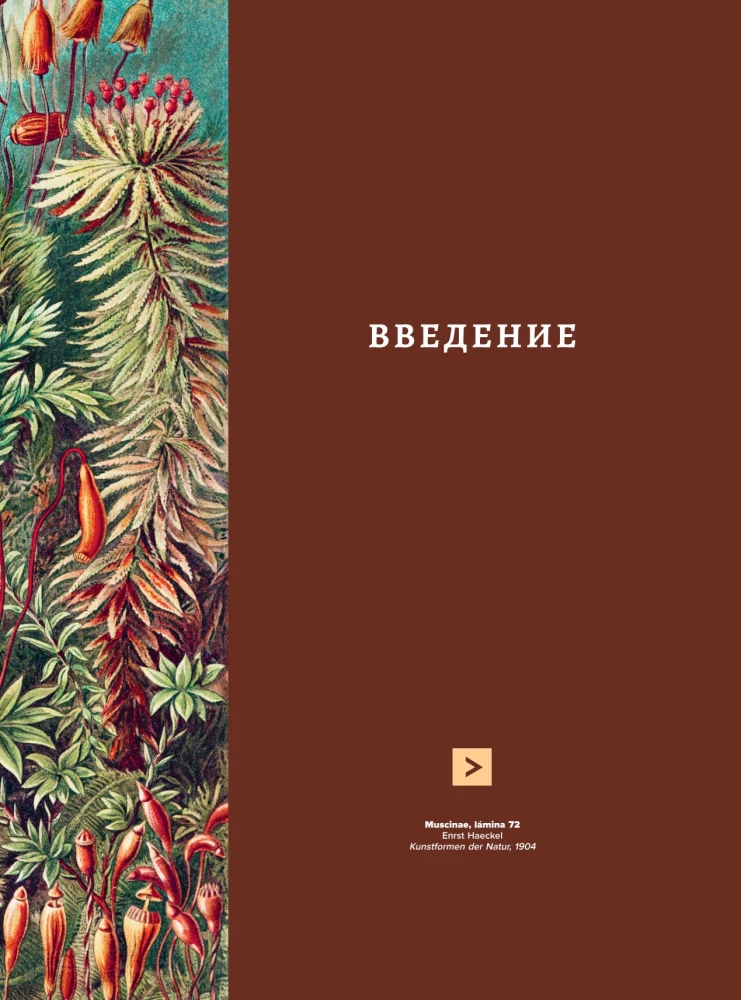 Beruf — Wissenschaftsillustrator. Leitfaden für Illustrationen in Biologie, Archäologie und Paläo-Kunst
