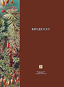 Beruf — Wissenschaftsillustrator. Leitfaden für Illustrationen in Biologie, Archäologie und Paläo-Kunst