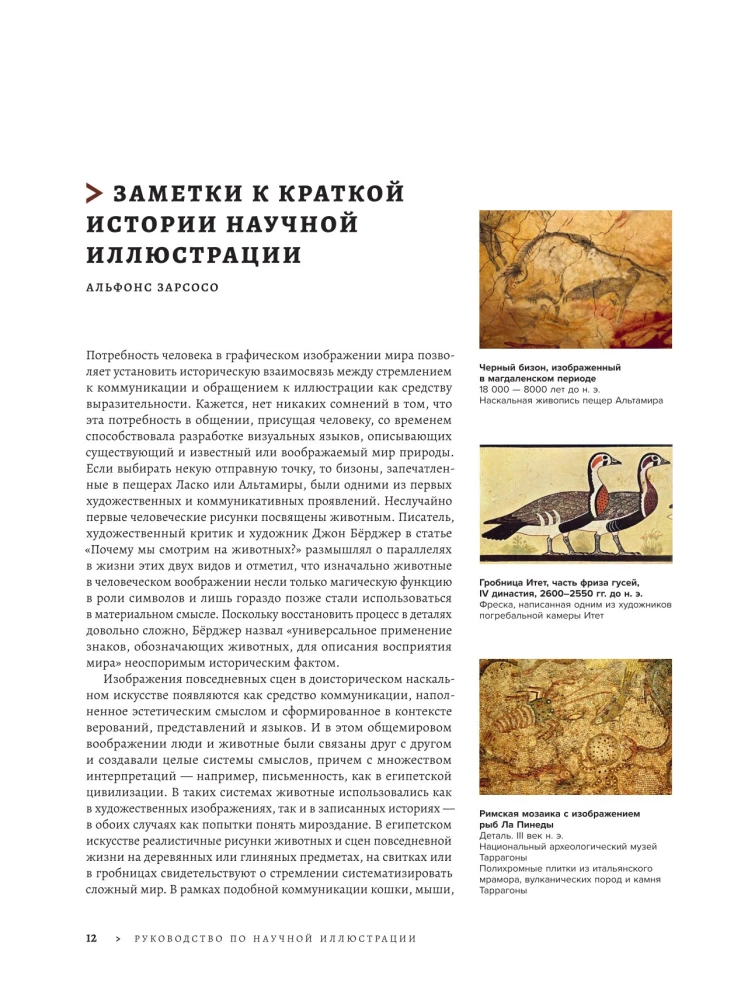 Beruf — Wissenschaftsillustrator. Leitfaden für Illustrationen in Biologie, Archäologie und Paläo-Kunst