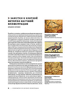 Beruf — Wissenschaftsillustrator. Leitfaden für Illustrationen in Biologie, Archäologie und Paläo-Kunst