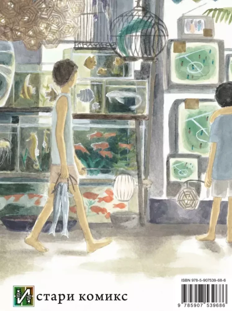 Znawca Musi. Pudełko 3 (tomy 11-15)