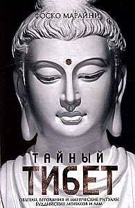Das geheime Tibet. Bräuche, Überzeugungen und magische Rituale der buddhistischen Mönche und Lamas