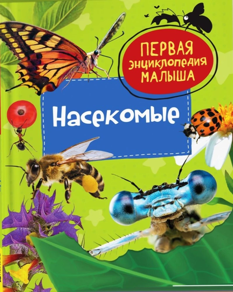 Insekten. Das erste Enzyklopädie-Buch für Kleinkinder