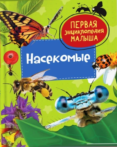Insekten. Das erste Enzyklopädie-Buch für Kleinkinder