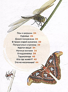 Insekten. Das erste Enzyklopädie-Buch für Kleinkinder