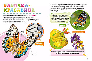 Insekten. Das erste Enzyklopädie-Buch für Kleinkinder