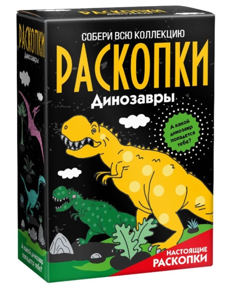 Large excavation set - In the footsteps of dinosaurs