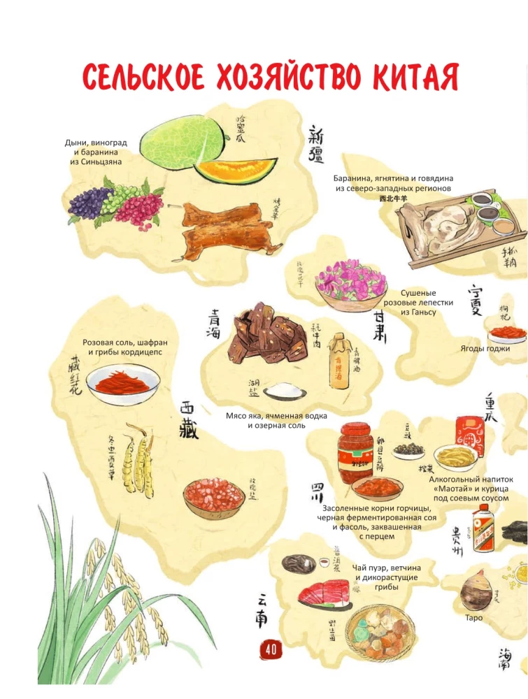 Chinesische Küche in Illustrationen
