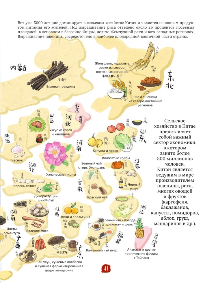 Chinesische Küche in Illustrationen