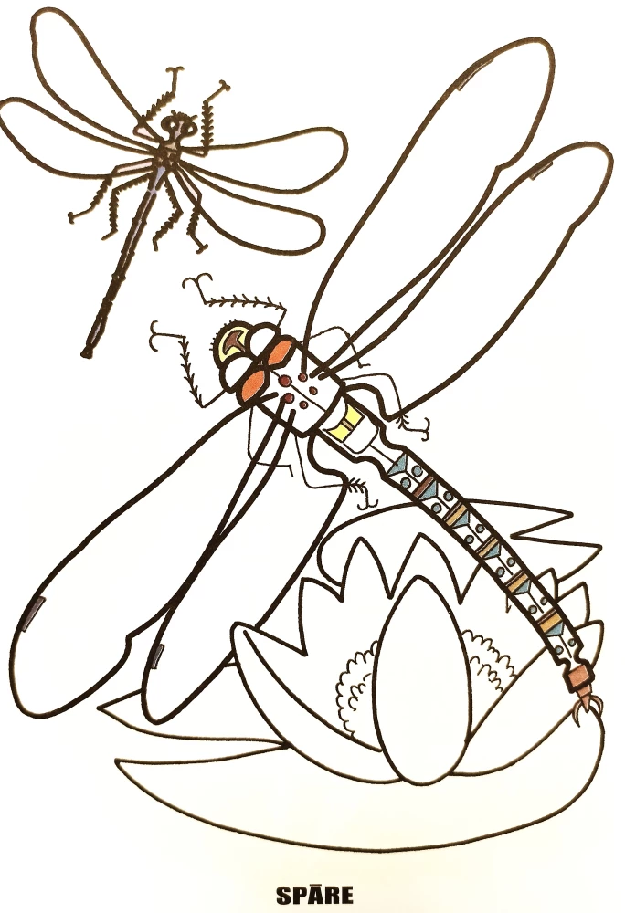 Malbuch - Insekten