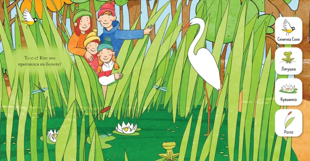 Find and Show, Baby. In the Forest