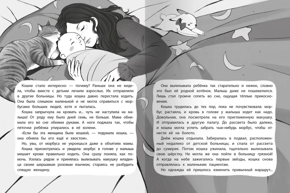 Seitsme elu varus