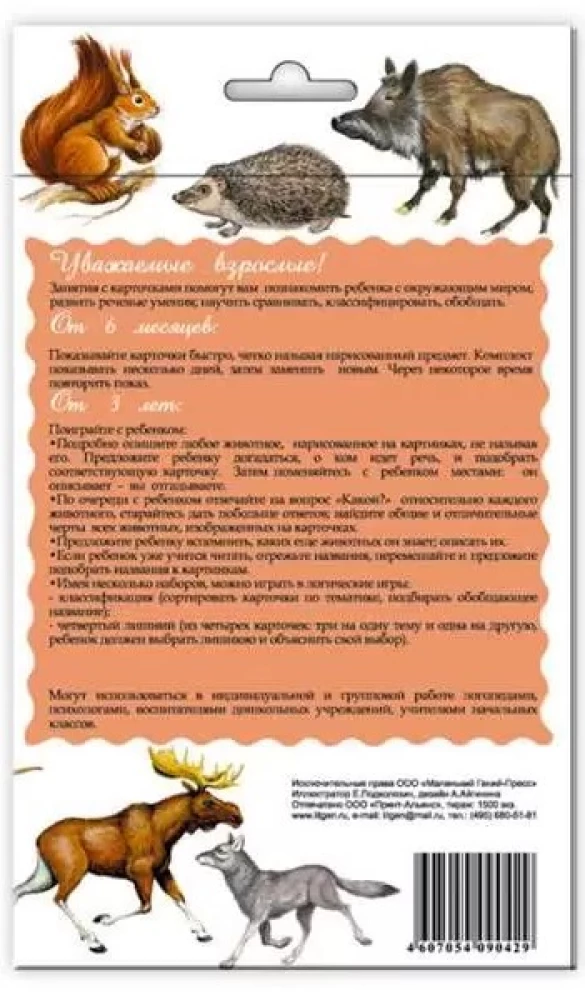 Karty dydaktyczne - Zwierzęta naszych lasów