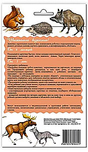 Karty dydaktyczne - Zwierzęta naszych lasów