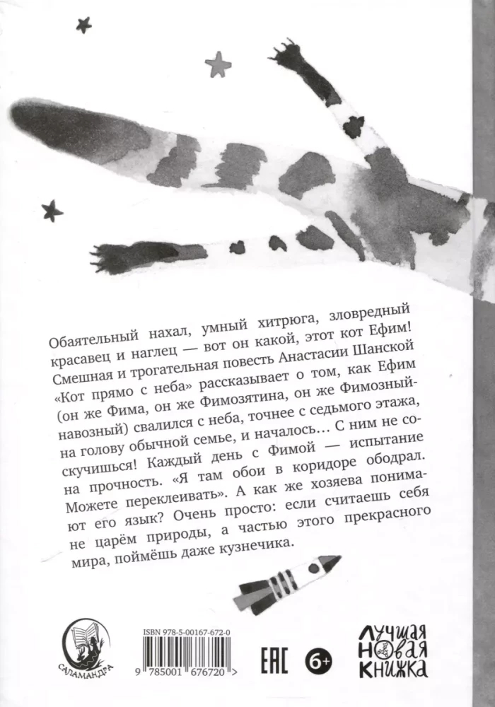 Kot prosto z nieba. Dla tych, którzy w duszy mają trochę kota