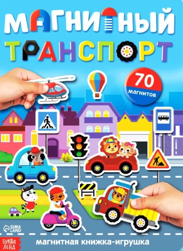 Magnetic Transport