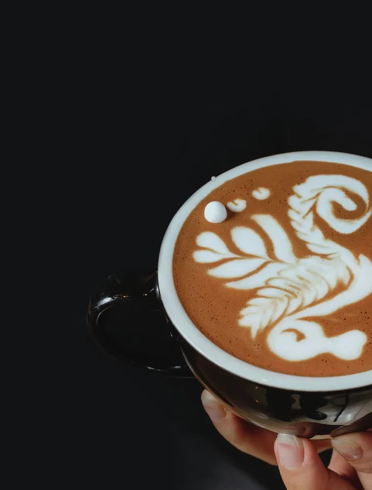 Latte-Art. Der ausführlichste Meisterkurs im Zeichnen auf Kaffee — Foto 7