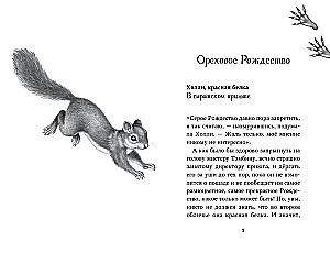 Dwanaście sekretów
