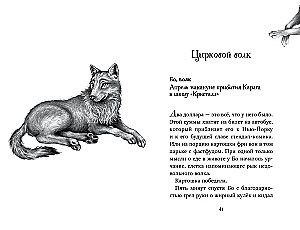 Dwanaście sekretów